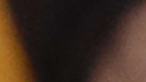 El dinero iría a una campaña de la iglesia para ayudar a menores inmigrantes