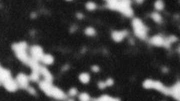 Einstein ganó el Premio Nobel de Física por su teoría del efecto fotoeléctrico.