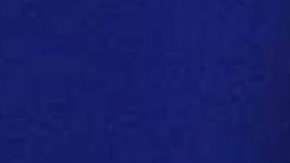 La congresista Maxine Waters pidió a manifestantes acosar al gabinete de Trump