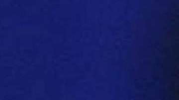 La congresista Maxine Waters pidió a manifestantes acosar al gabinete de Trump