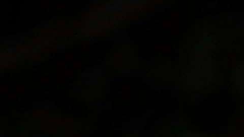 La primera dama Melania Trump y su hijo Barron.