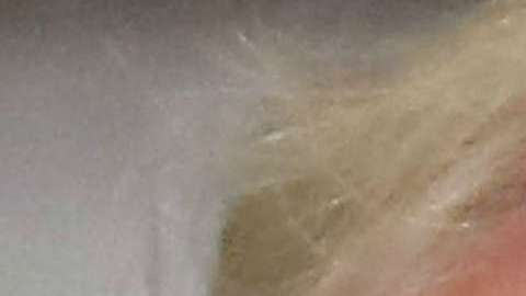 Trump pide que Samantha Bee sea despedida como ocurrió con Roseanne Barr