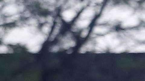 López Obrador lidera las encuestas con más de 30 puntos de ventaja.