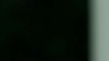 Reportes indica que la Primera Dama convenció a su esposo de terminar con la separación de familias de inmigrantes.