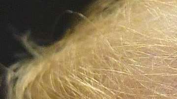 Trump hizo la inesperada broma durante su reunión con el presidente de Portugal