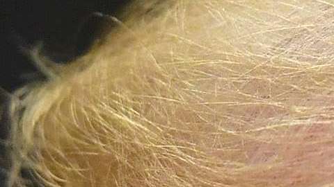 Trump hizo la inesperada broma durante su reunión con el presidente de Portugal