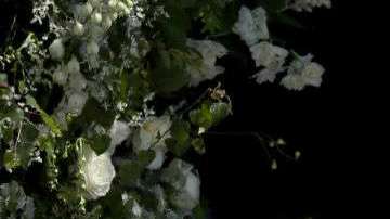 Un geriátrico recibió los arreglos florales tras la boda.