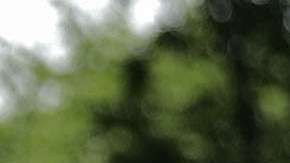 La cumbre se llevará a cabo este 12 de junio en Singapur