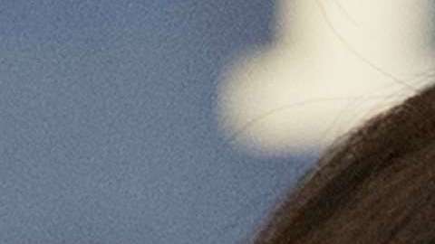 Otra evidente muestra de que la relación de Trump y Melania no pasa por un buen momento