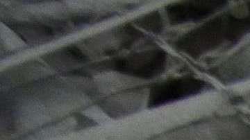 San Miguel Los Lotes fue la comunidad más afectada.