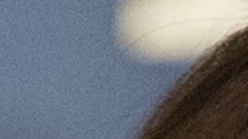 Nuevo reporte habla de un posible regreso de Melania a Nueva York