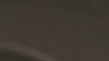 En el audio se pueden escuchar a los menores gritando "Mami, Papi"