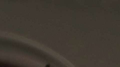 En el audio se pueden escuchar a los menores gritando "Mami, Papi"