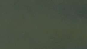 Un niño y su padre, originarios de Honduras, durante la petición de asilo a agentes fronterizos. / FOTO: John Moore/Getty Images