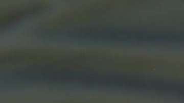 Un niño y un padre son detenidos por agentes de la Patrulla Fronteriza cerca de la frontera.