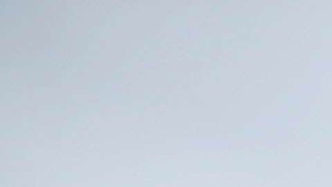 La Primera Dama viajó a Texas.