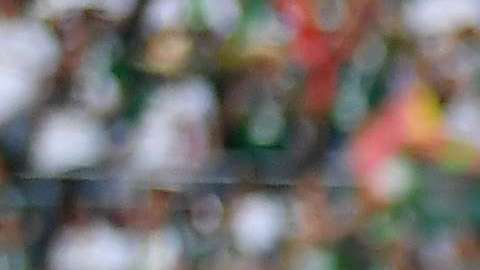 Los últimos con vida.