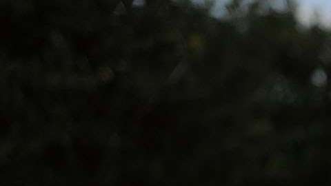 Una vigilia de oración frente a Casa Padre, un centro para niños inmigrantes en Texas.