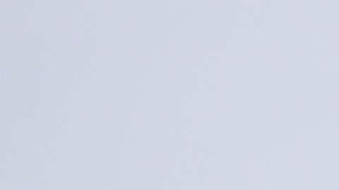 El presidente Trump logra victoria en la Corte Suprema.