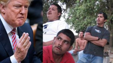 Trump justificó hoy su política de separación familiar en la frontera sur