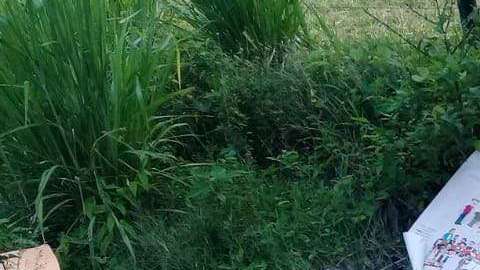 Papelería electoral.