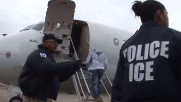 Testfatsion estuvo bajo custodia de ICE desde el 2 de febrero de 2017