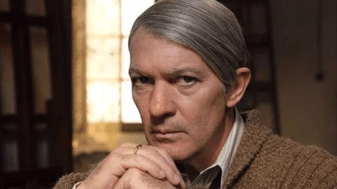 Banderas como Picasso.