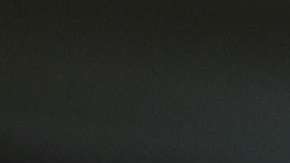 Paco Jémez. Imago &