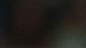 Juan Carlos Osorio habría sido partícipe de otra fiesta de la selección mexicana en Guadalajara