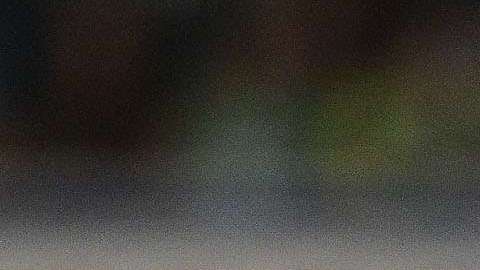 Juan Carlos Osorio habría sido partícipe de otra fiesta de la selección mexicana en Guadalajara