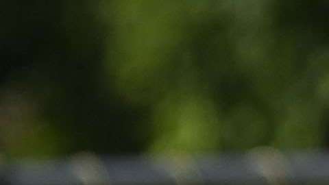 Diego Reyes está de vuelta en los entrenamientos con la selección mexicana