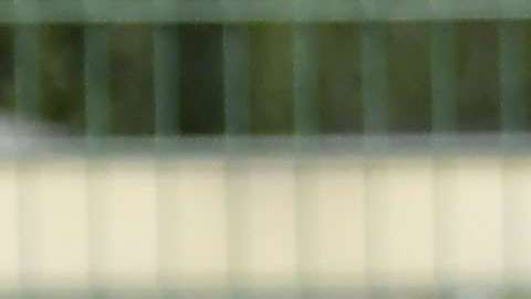 Juan Carlos Osorio dirigió el último entrenamiento de la selección mexicana en otro campo