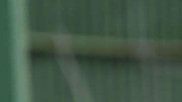 El valor de la selección mexicana asciende a $180 millones de dólares