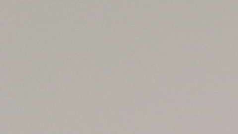 María Teresa Kumar, presidenta de "Voto Latino" (Foto: archivo)