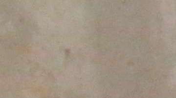 La jueza Dana Leigh Marks, presidenta emérita de la Asociación Nacional de Jueces de Inmigración, teme las consecuencias de los manejos políticos de Sessions (Foto : Archivo)