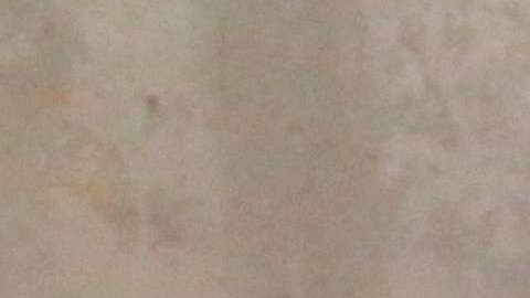 La jueza Dana Leigh Marks, presidenta emérita de la Asociación Nacional de Jueces de Inmigración, teme las consecuencias de los manejos políticos de Sessions (Foto : Archivo)