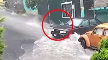 Las imágenes fueron captadas por una vecina.