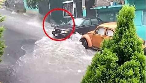 Las imágenes fueron captadas por una vecina.