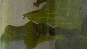 Constantemente, los paparazzis captan cada movimiento de JLo.