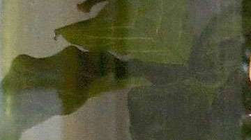 Constantemente, los paparazzis captan cada movimiento de JLo.