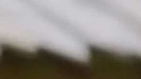 Julián Gil en "Bachelorovsky" de Univision