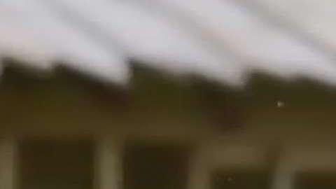 Julián Gil en "Bachelorovsky" de Univision