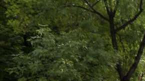 Exigen justicia para los 43 normalistas desaparecidos de Ayotzinapa.