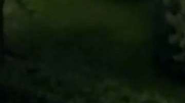 Las autoridades guían a los empleados fuera del edificio.