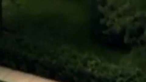 Las autoridades guían a los empleados fuera del edificio.