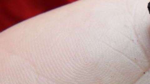 Mineral Olivino del volcán de Hawái