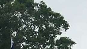 La medida no tiene apoyo republicano.