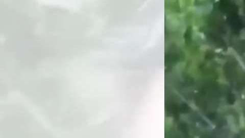 El video fue publicado el sábado.