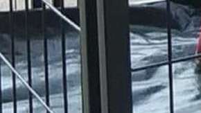 La imagen se volvió viral.