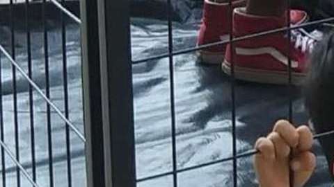 La imagen se volvió viral.